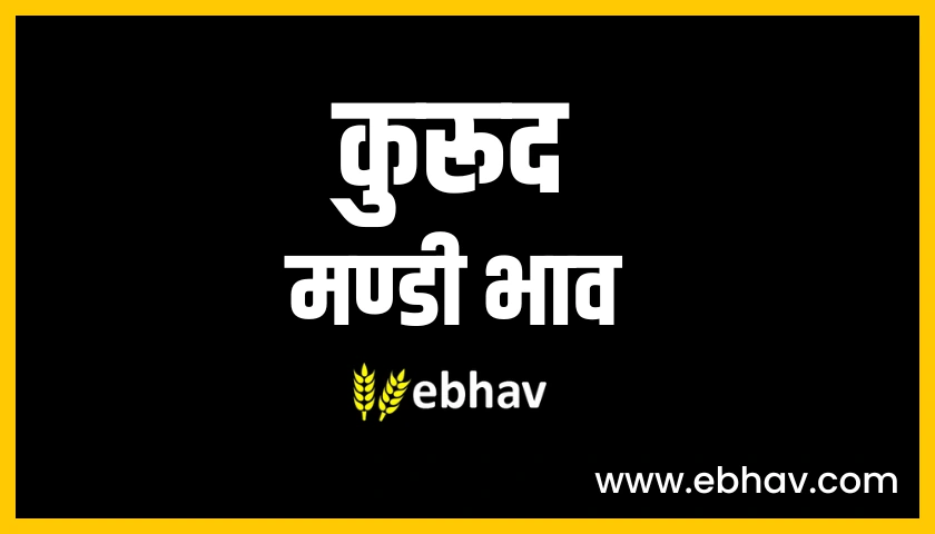 kurud-mandi-bhav