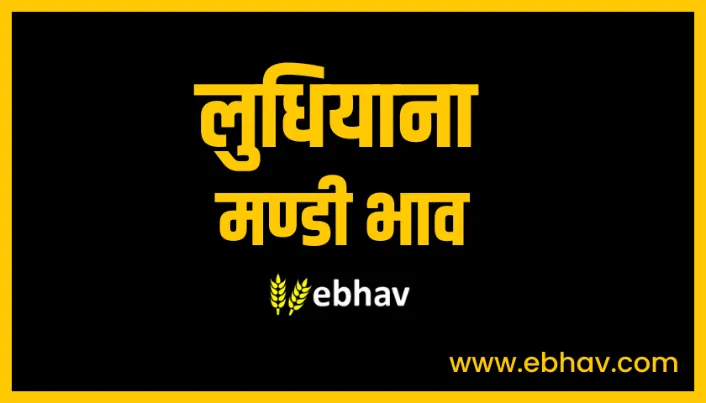 ludhiana-mandi-bhav