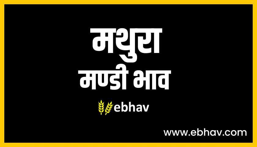 mathura-mandi-bhav