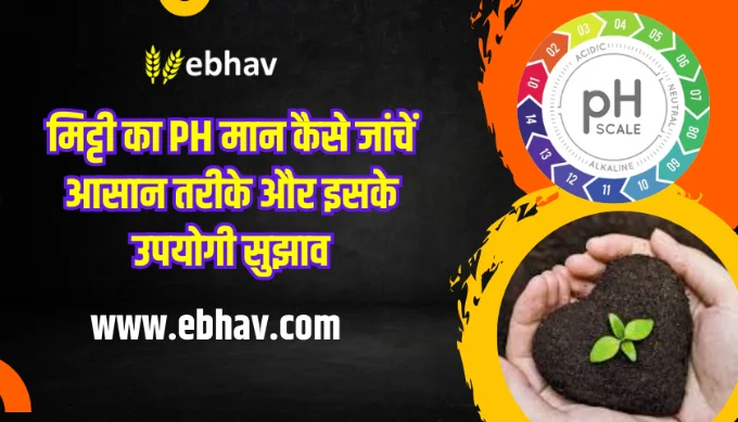 Mitti Ka Ph Maan Kaise Janchein