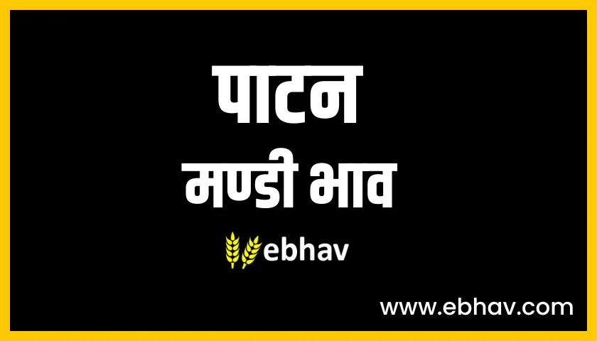 patan mandi bhav