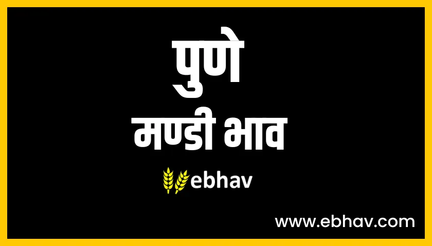 pune mandi bhav