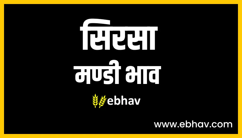 sirsa-mandi-bhav