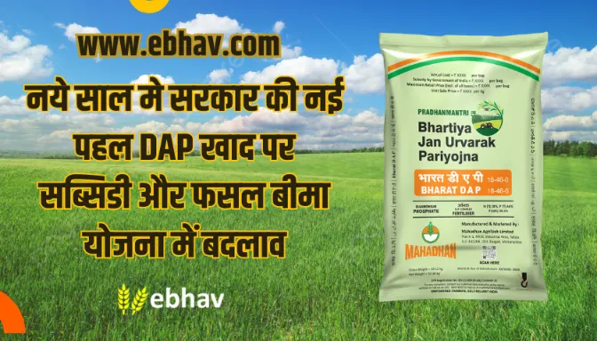 Fertilizer Subsidy Increased 2025