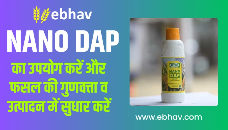 How To Use Nano Dap