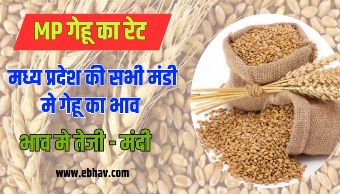Wheat Mandi Bhav