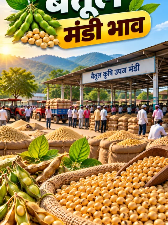 3 अक्टूबर 2026 को बैतूल मंडी भाव: सोयाबीन, गेहूं और प्रमुख फसलों के ताजा रेट
